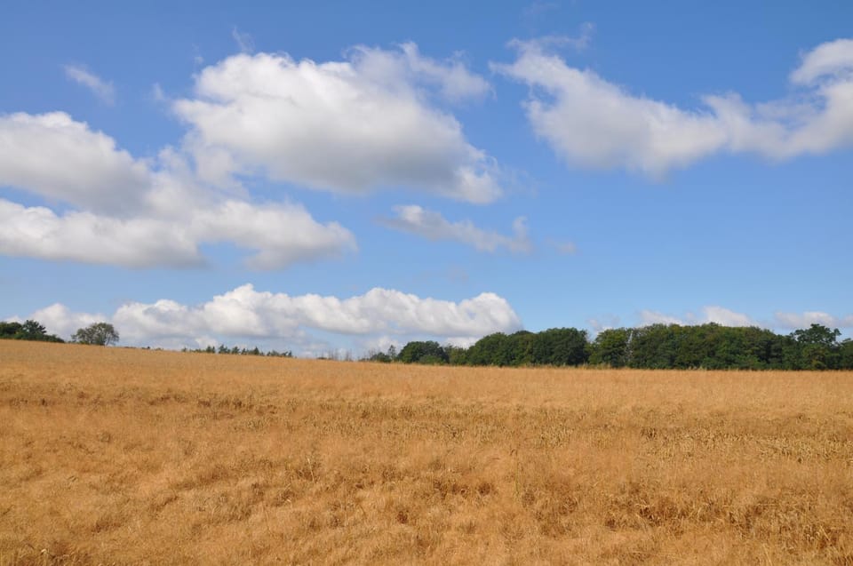 Natural landscape, Hiking, Cycling
