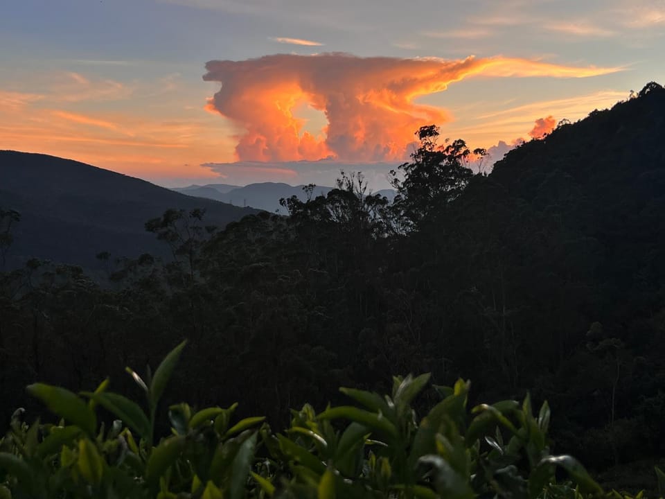 Rustique House dbl Vacation rental in Nuwara Eliya