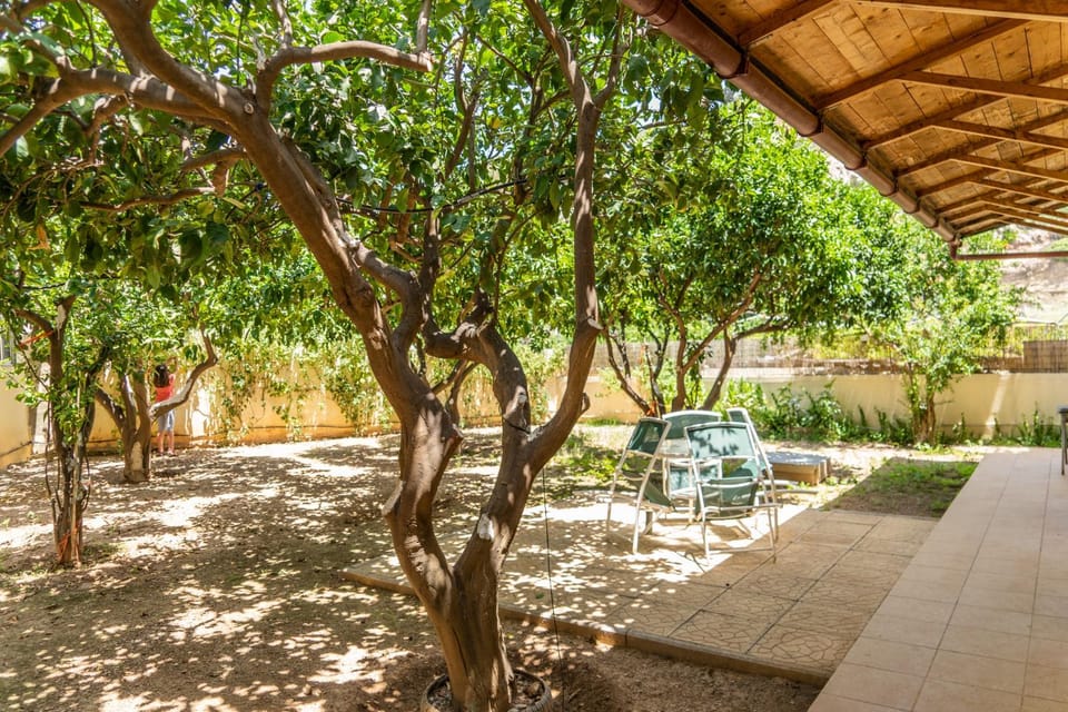 Garden, Inner courtyard view