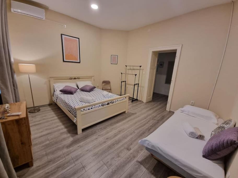 Dalmatian Apartment in the City Center Apartment in Split