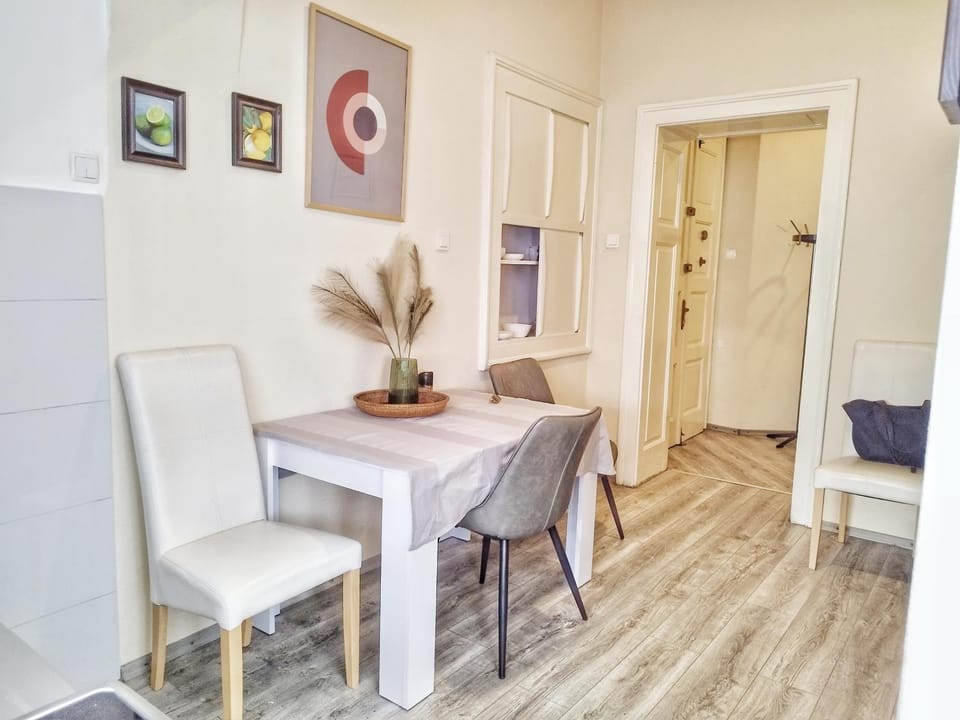 Dalmatian Apartment in the City Center Apartment in Split