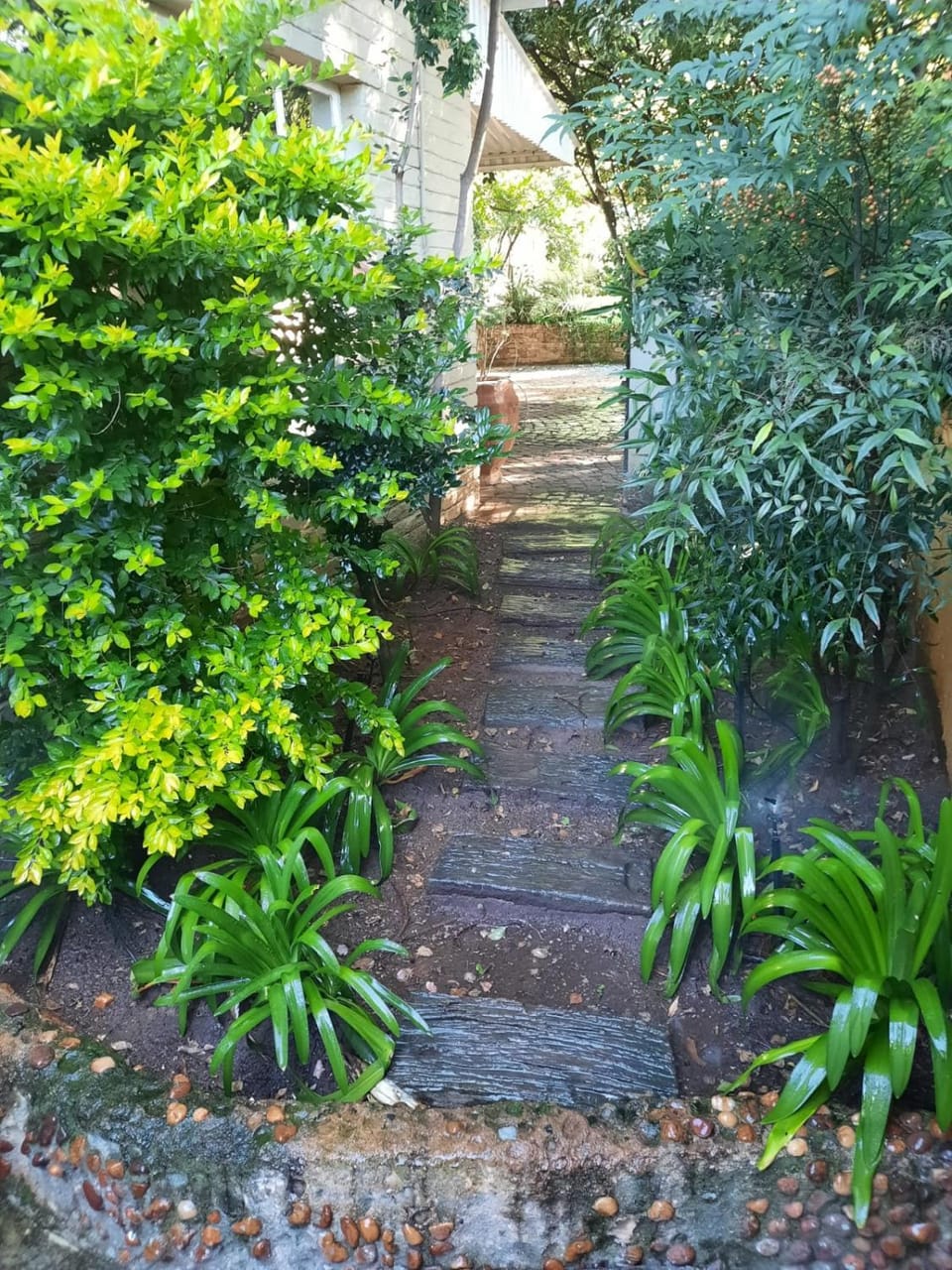 Nel's Cottage, a private and peaceful cottage Apartment in Gauteng