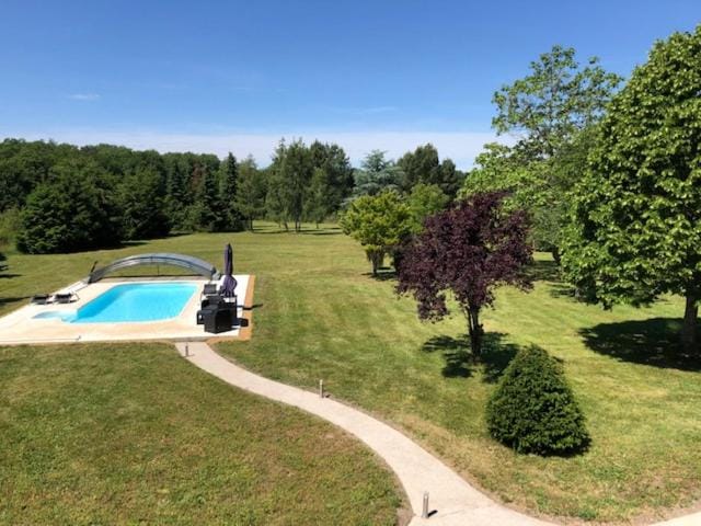 Natural landscape, Garden, Garden view, Pool view, Swimming pool