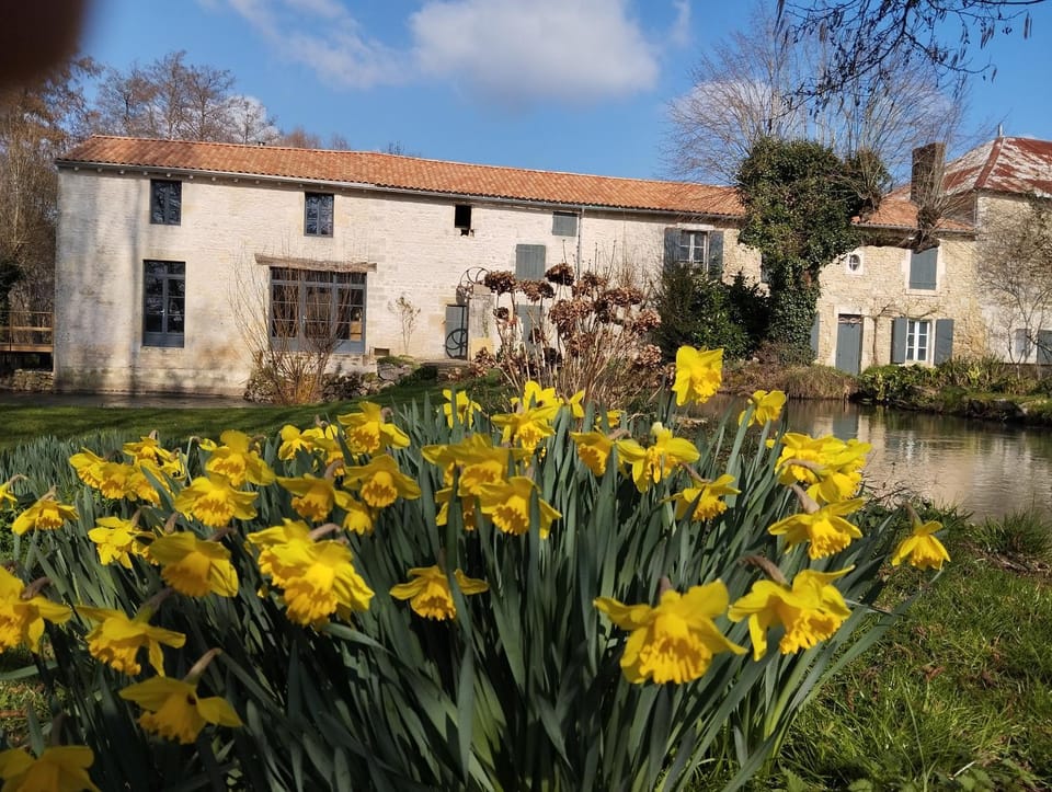 Property building, Garden