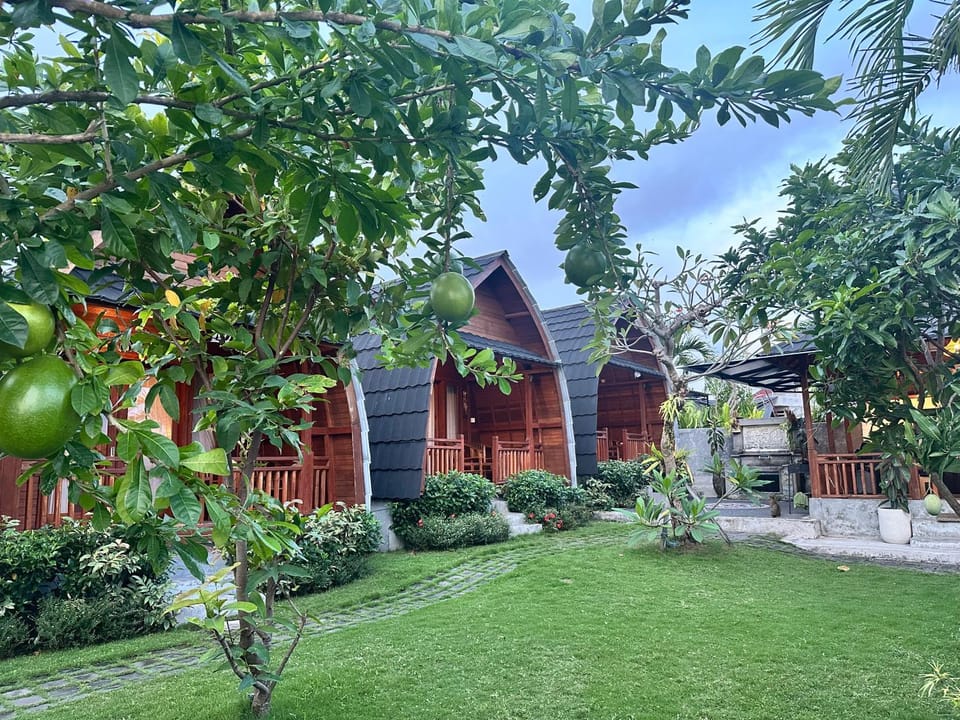 Property building, Natural landscape, Garden, Garden view