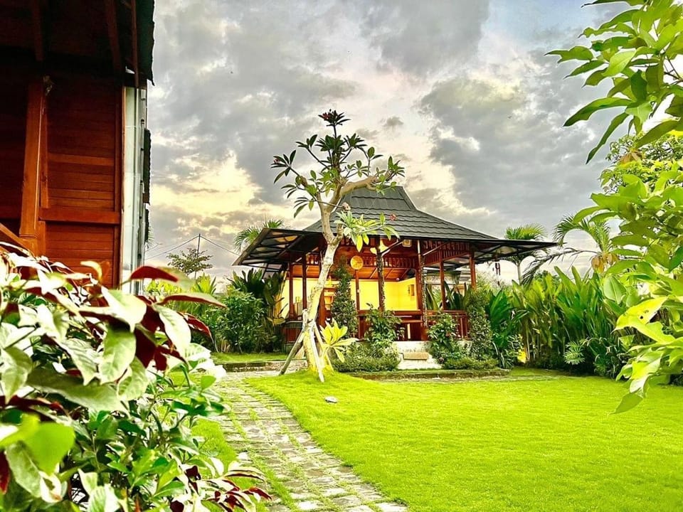 Natural landscape, Garden, Garden view