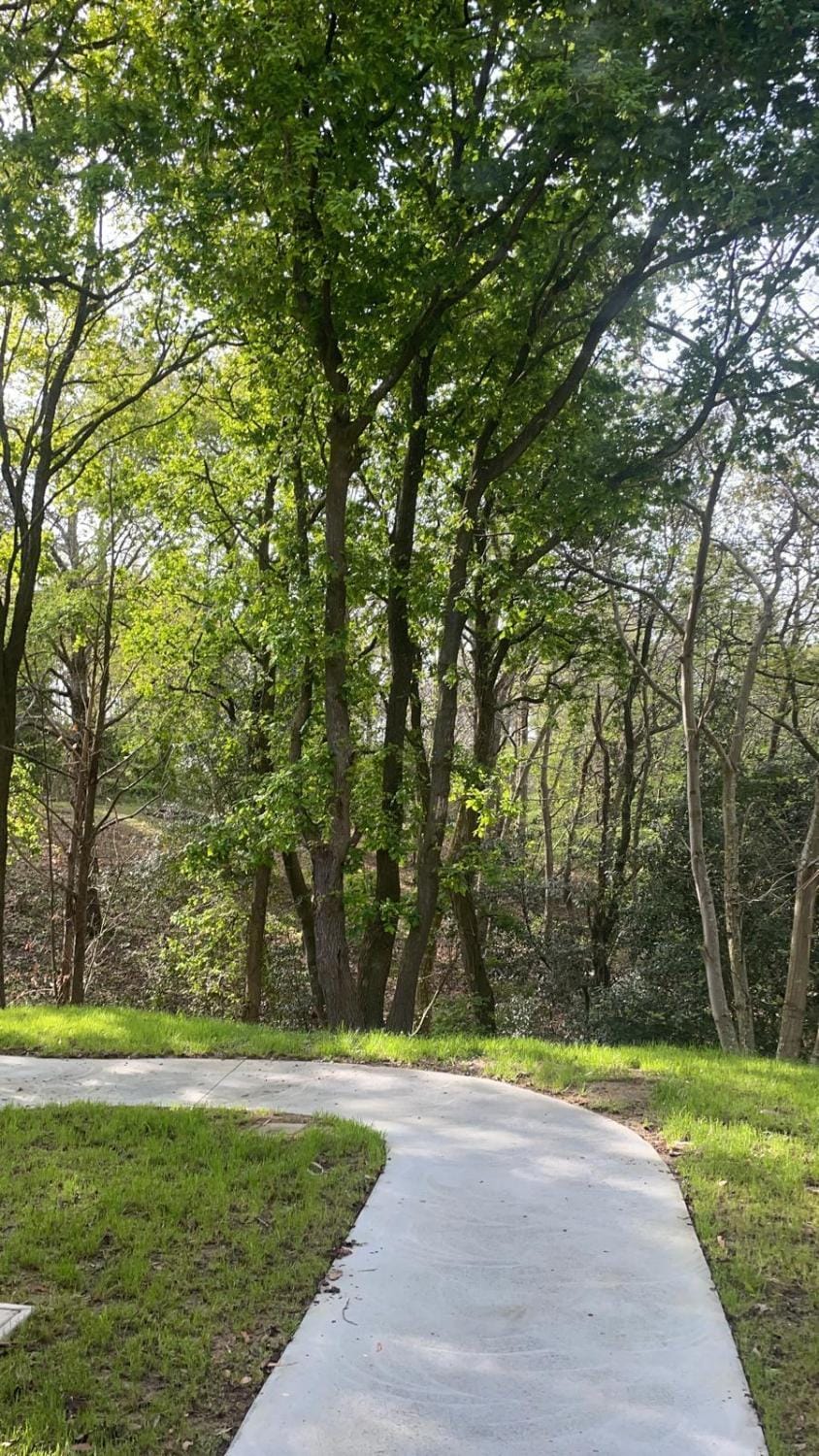 Natural landscape, Garden