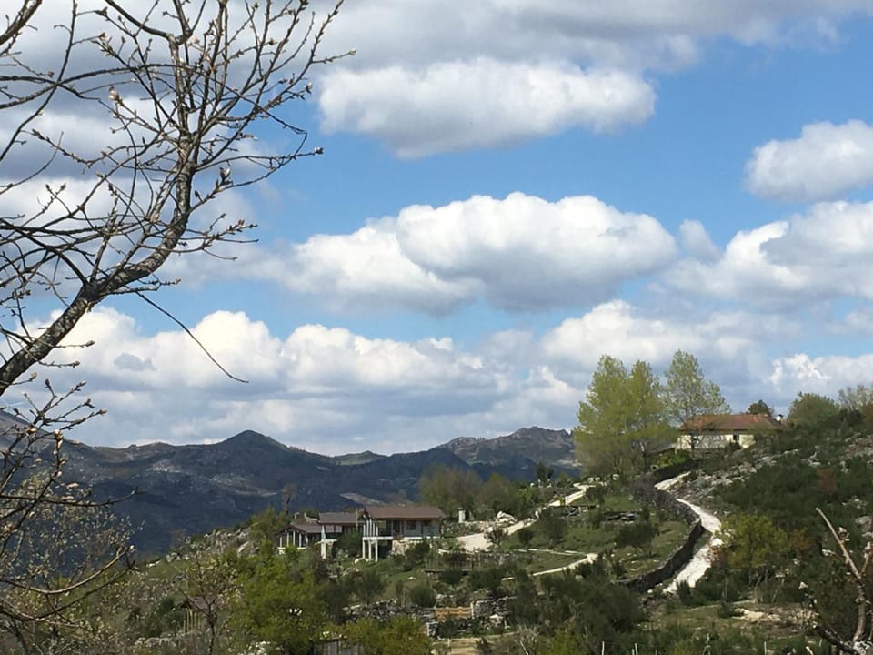 Property building, Day, Mountain view