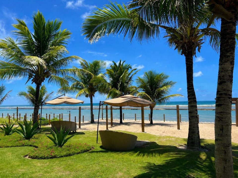Garden, Garden, Sea view, sunbed