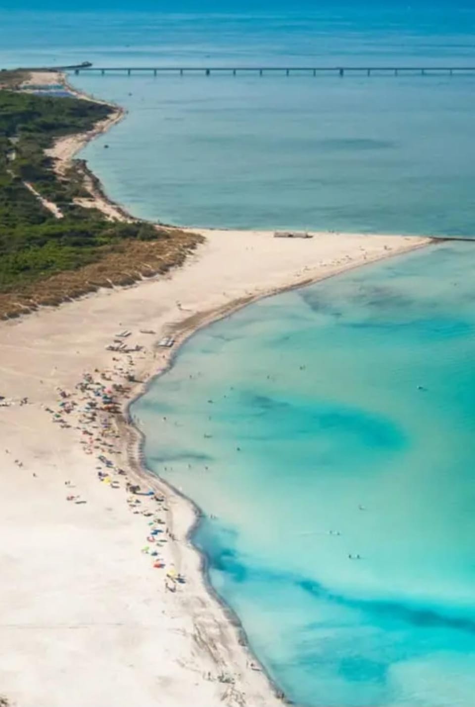 La cicala Apartment in Rosignano Marittimo