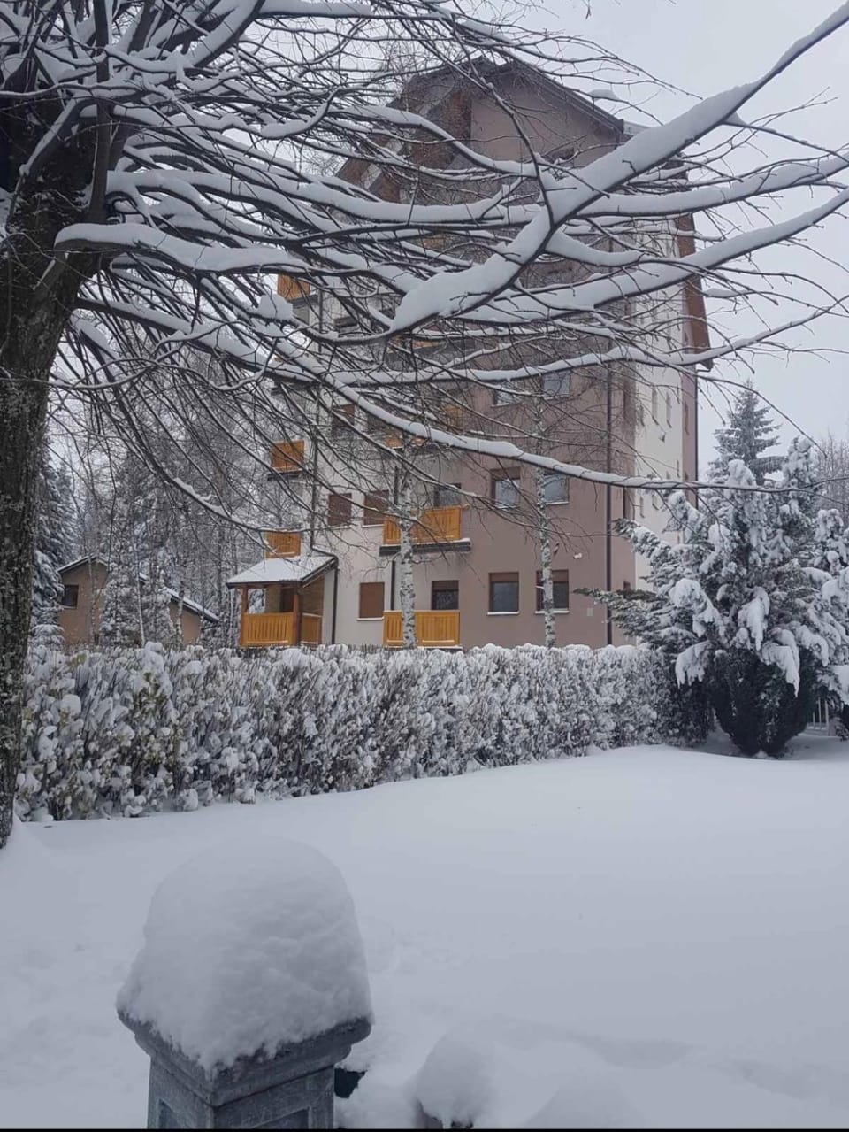 Apartman AS Apartment in Zlatibor