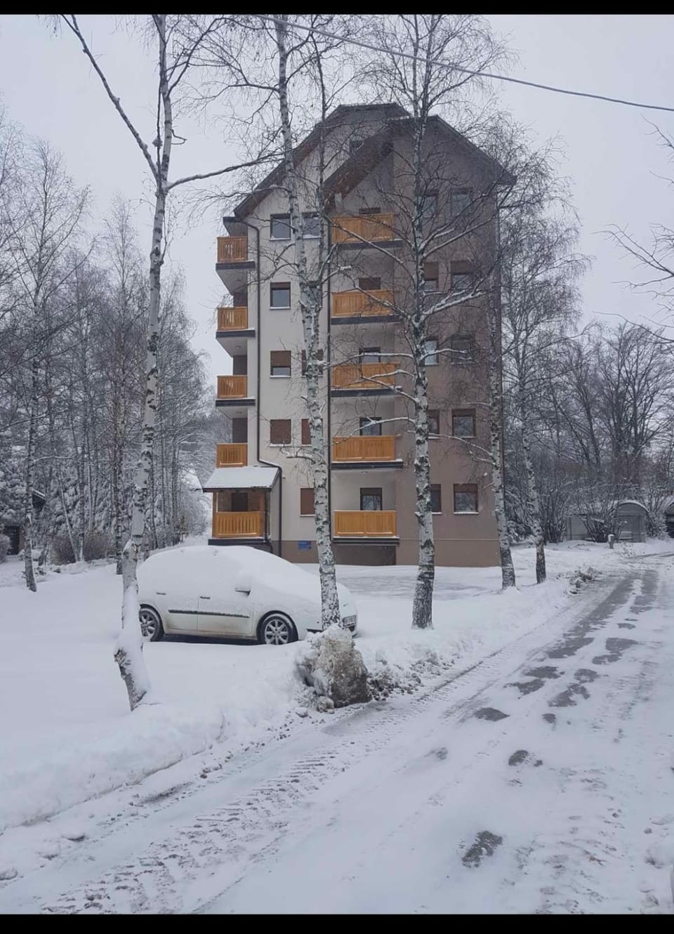 Apartman AS Apartment in Zlatibor