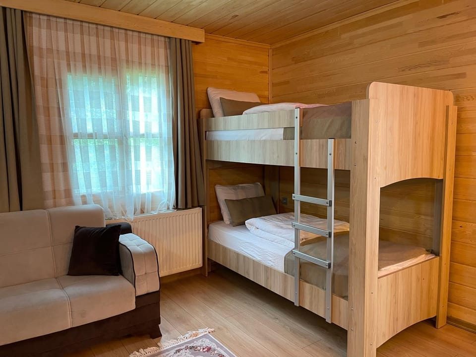 Bed, Living room, bunk bed