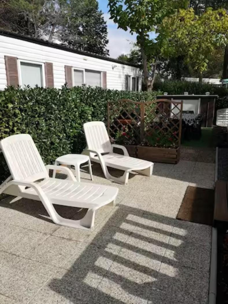 Garden, Garden view, sunbed