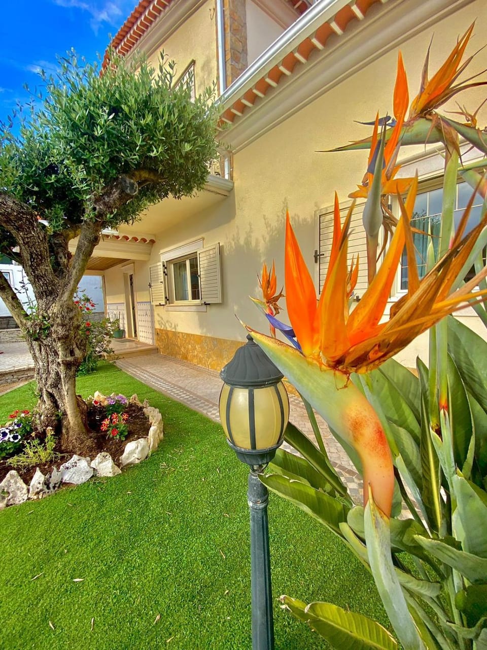 Spring, Day, Garden, Garden view