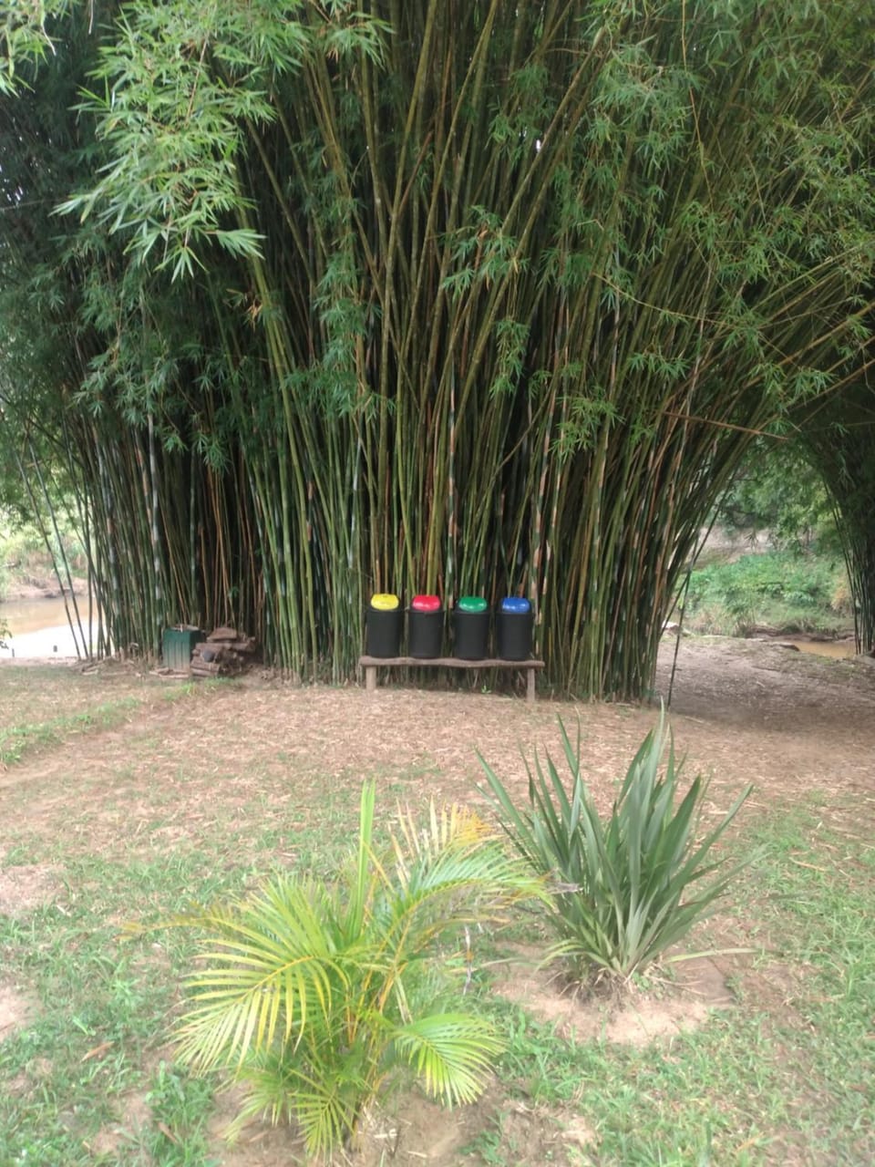 Garden, View (from property/room)