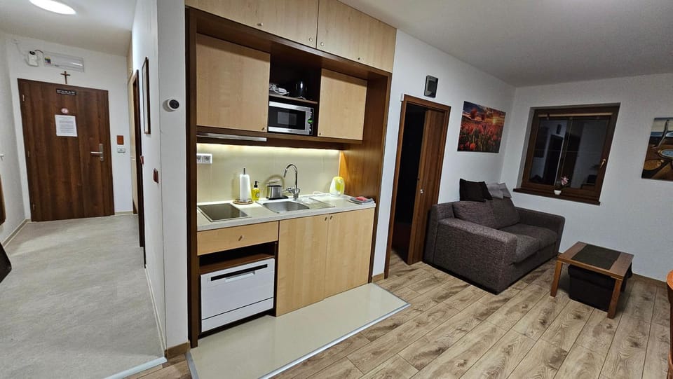 Kitchen or kitchenette, Living room, dishwasher, stove