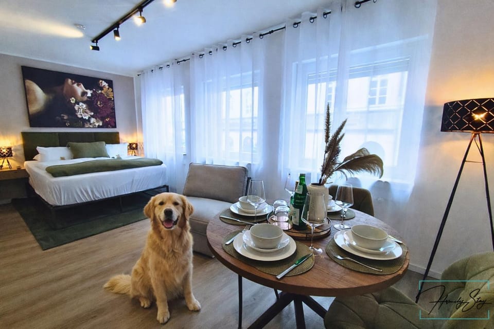 Bed, Living room, Photo of the whole room, Seating area, Pets