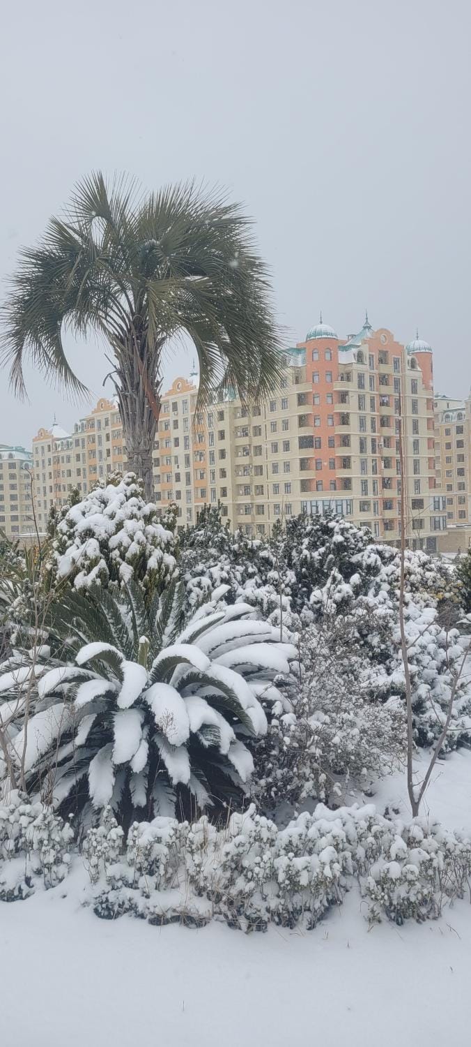 Sea View House Apartment in Baku, Azerbaijan