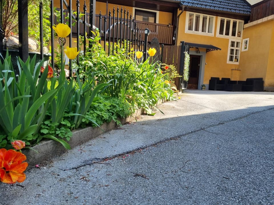 Property building, Garden