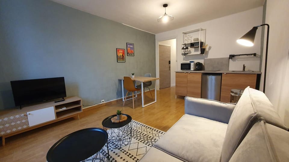 Le Central Apartment in Auvergne-Rhône-Alpes