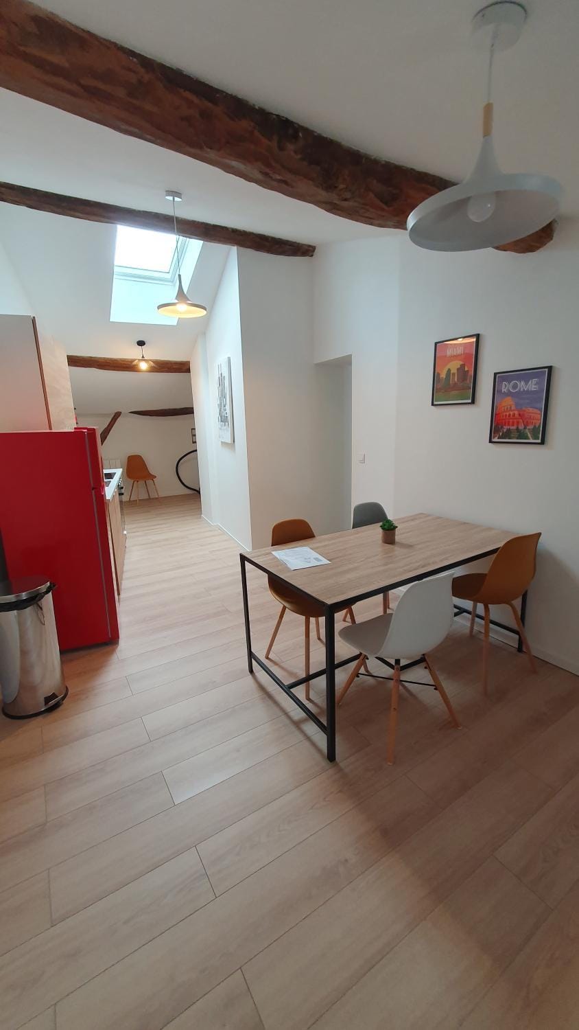 Le Central Apartment in Auvergne-Rhône-Alpes