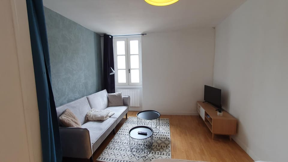Le Central Apartment in Auvergne-Rhône-Alpes