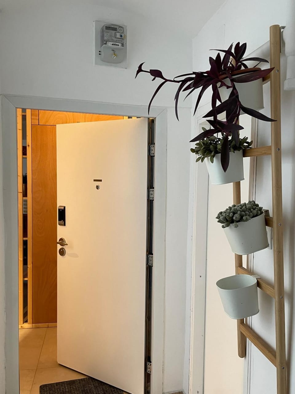 Mima's Place Apartment in City of Zagreb