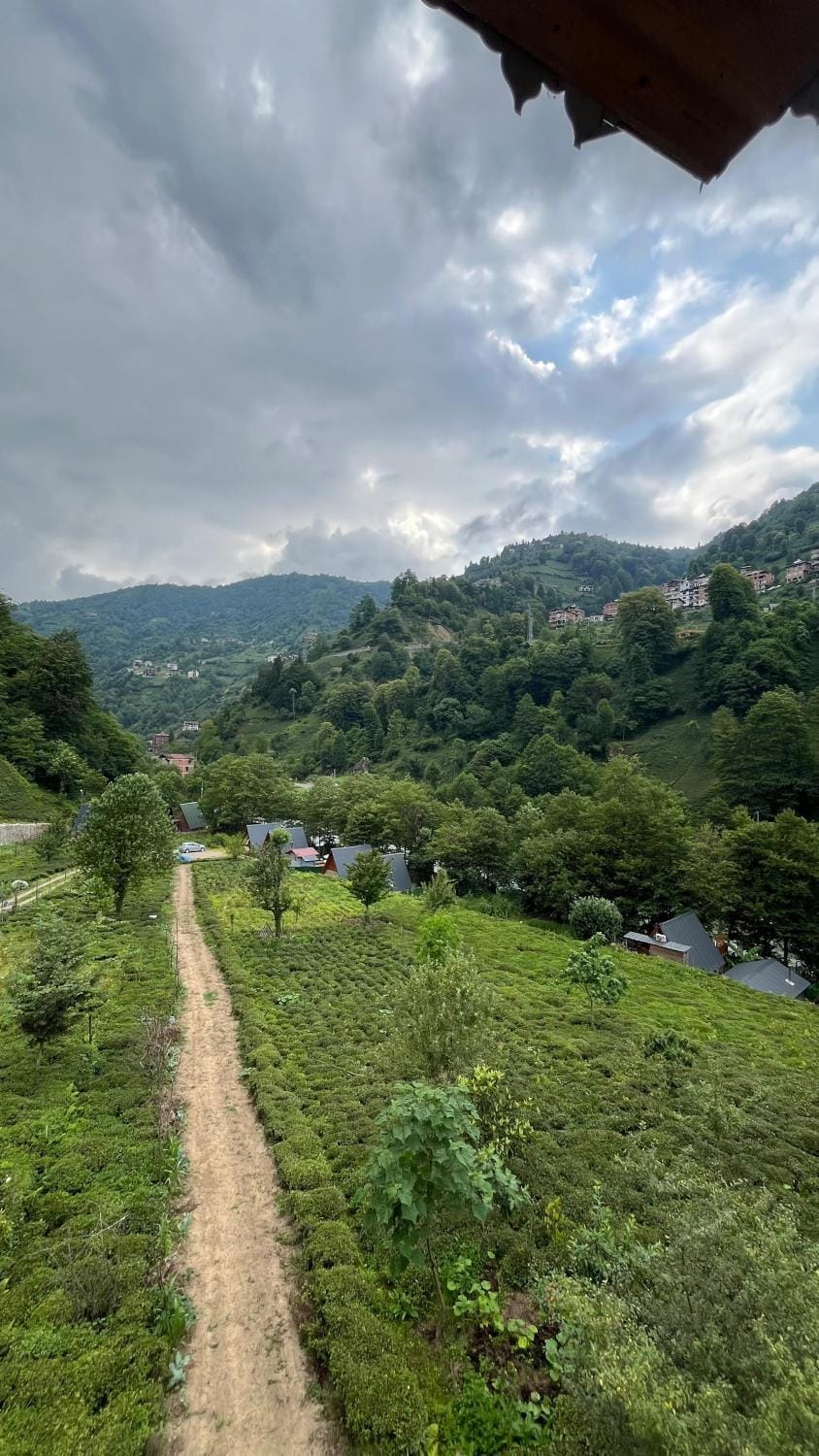 Serona Apart & Bungalow Apartment in Georgia