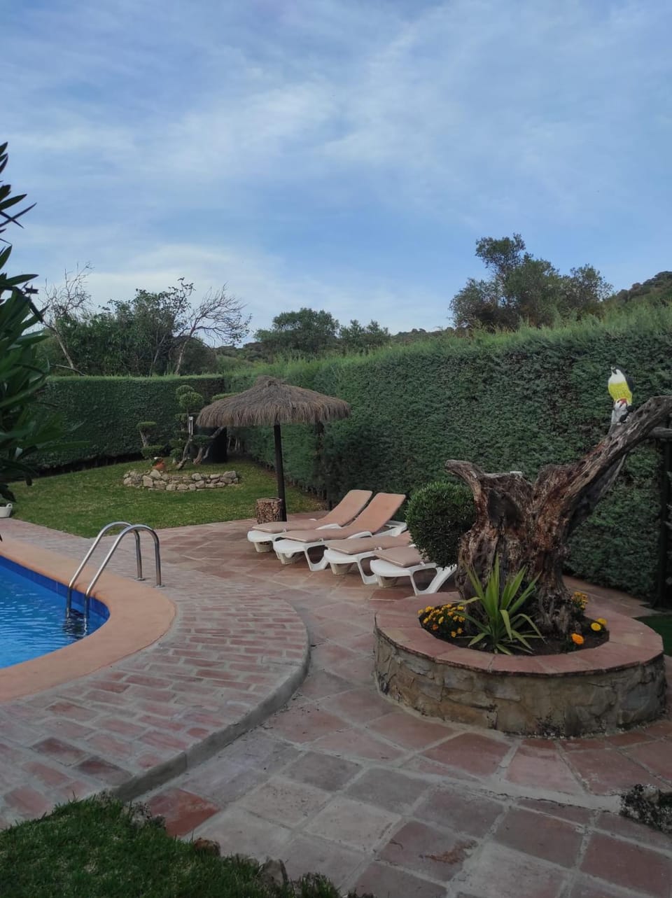 Spring, Day, Garden, Garden view, Swimming pool, sunbed