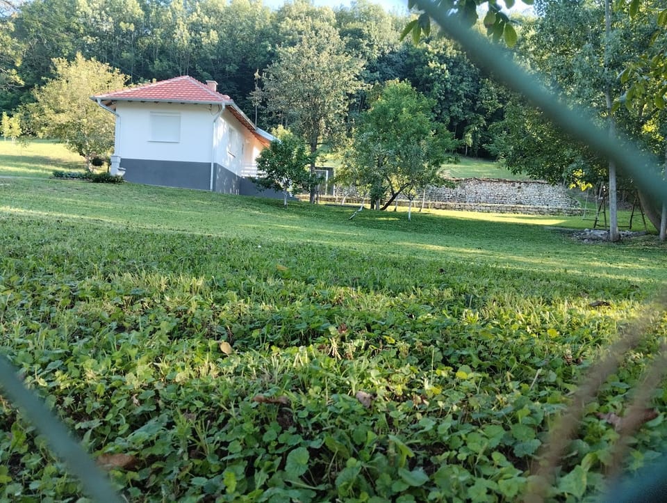 Property building, Spring, Day, Natural landscape, Garden view