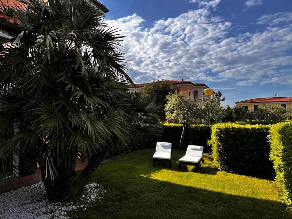 Garden, Garden view, sunbed
