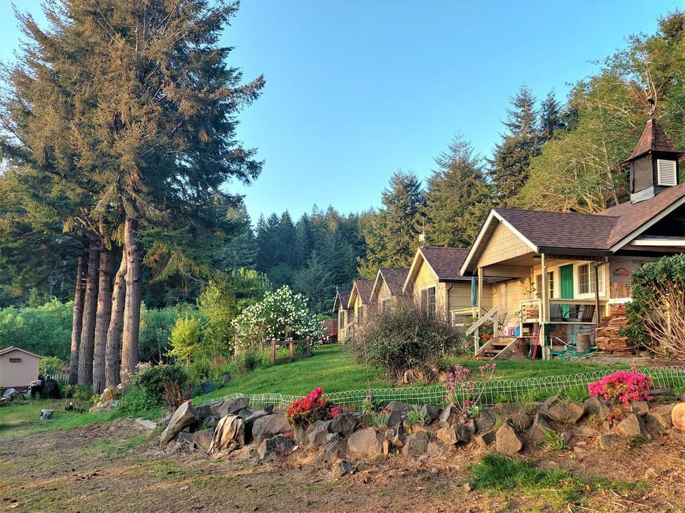 Property building, Natural landscape, Garden