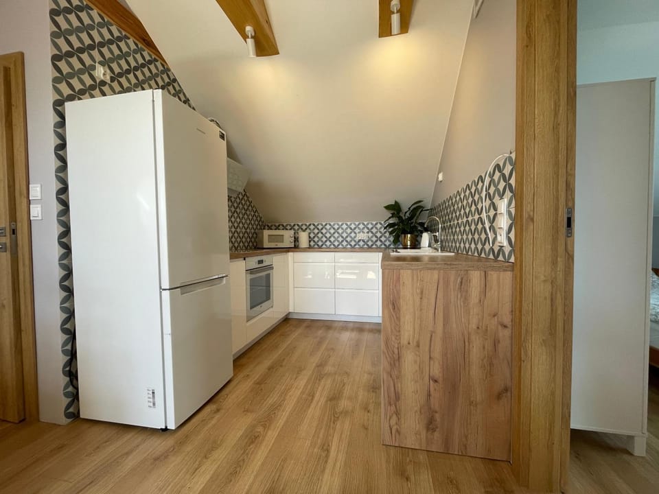 Kitchen or kitchenette, minibar, stove