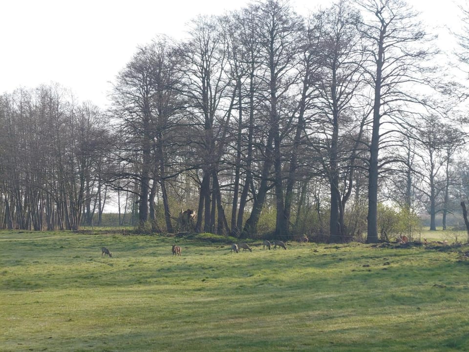 Off site, Natural landscape