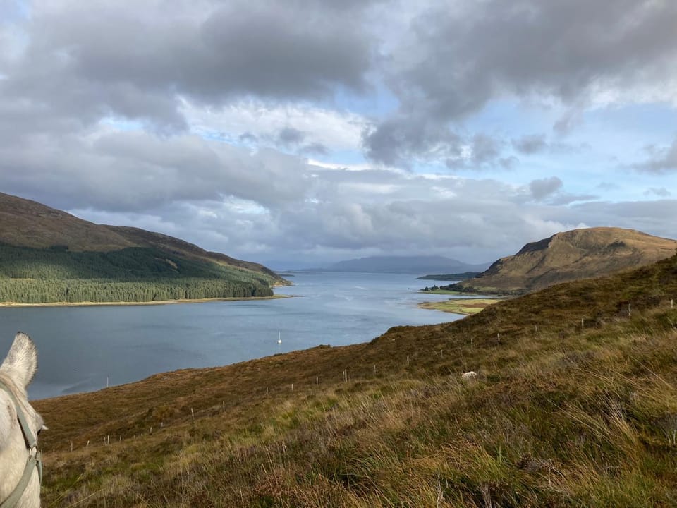 Sunset POD Apartment in Scotland