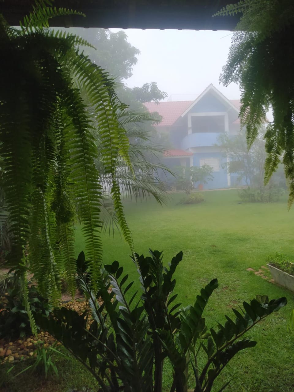 Property building, Garden, Garden view