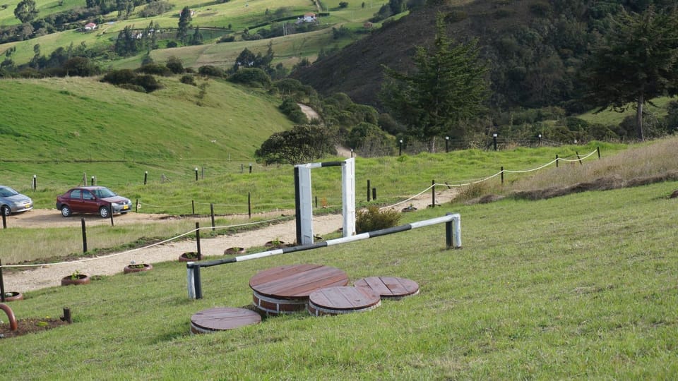Natural landscape, Garden, Mountain view