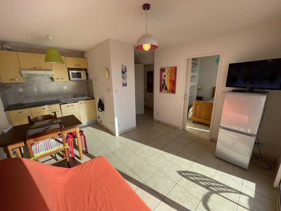 Bel T2 avec Garage, Terrasse et Animaux Admis - Saint-Cyprien Plage - FR-1-106-96 Apartment in Saint-Cyprien