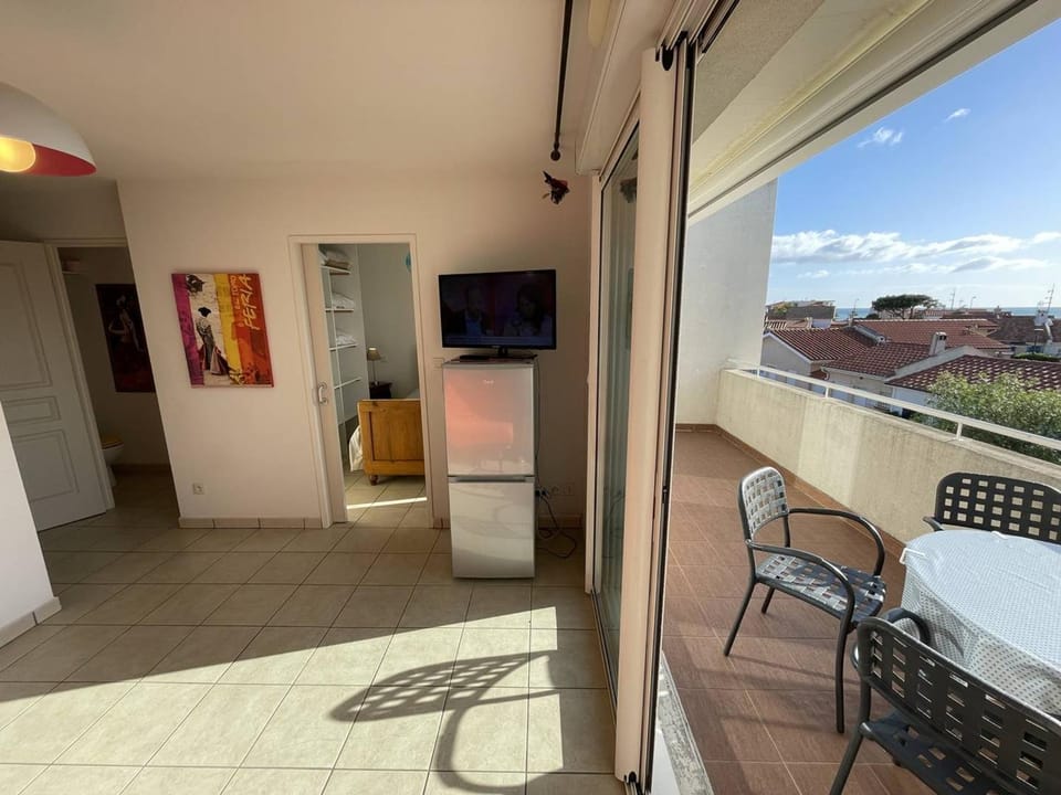 Bel T2 avec Garage, Terrasse et Animaux Admis - Saint-Cyprien Plage - FR-1-106-96 Apartment in Saint-Cyprien