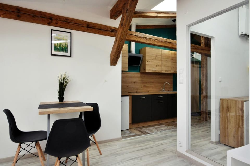 Apartamenty na Starym Mieście Apartment in Czechia