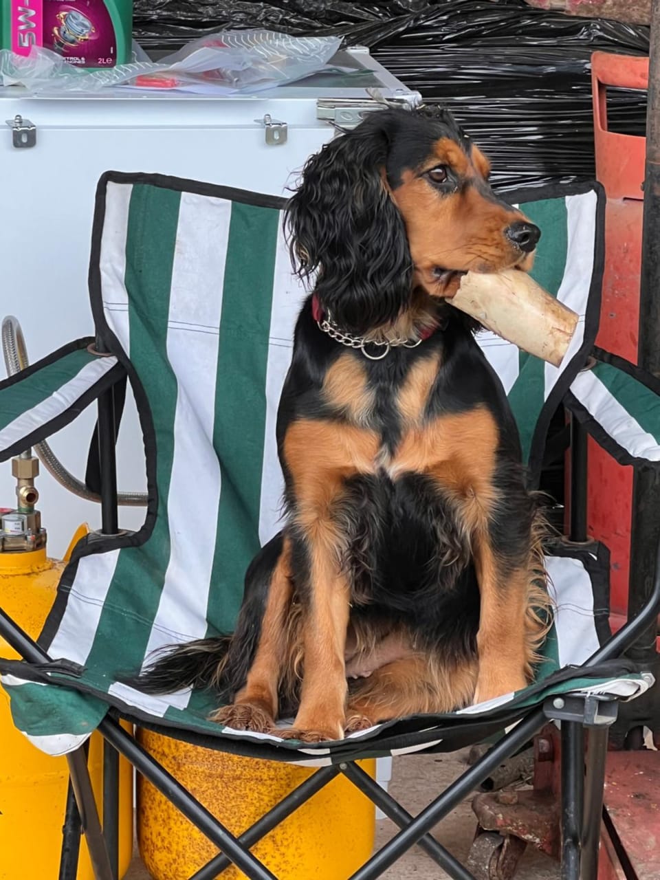 Sleepy Hollow Vacation rental in Wellington