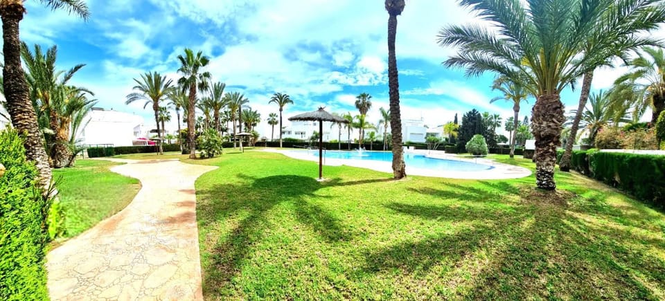 Garden, Garden, Swimming pool, Swimming pool