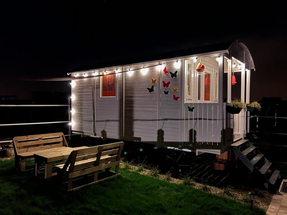 Ontwaken tussen de paarden Bed and Breakfast in Flanders