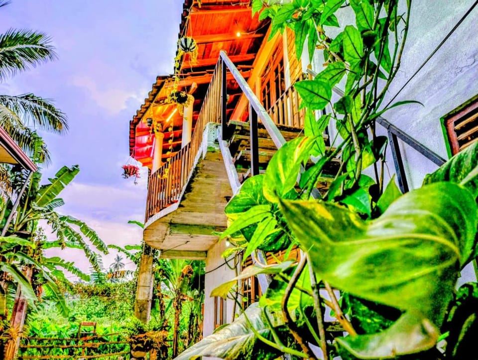 purple villa Villa in Mirissa