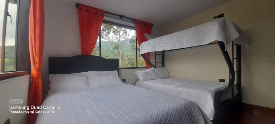 Bed, Photo of the whole room, Bedroom, bunk bed