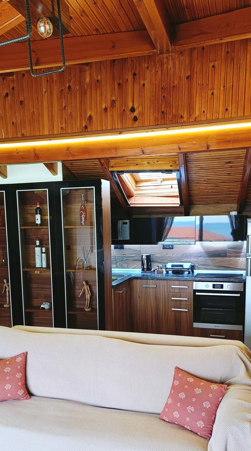 Kitchen or kitchenette, minibar, oven, pet friendly