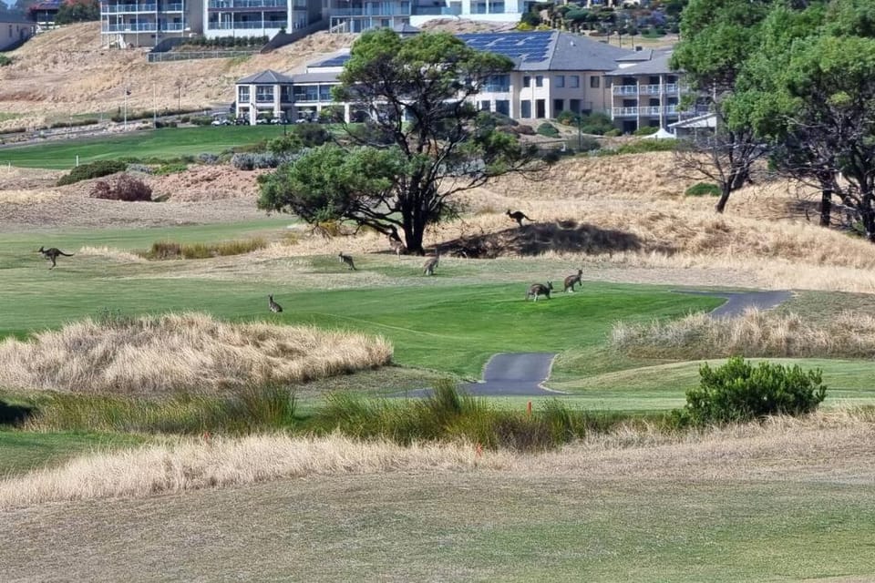 Golfcourse