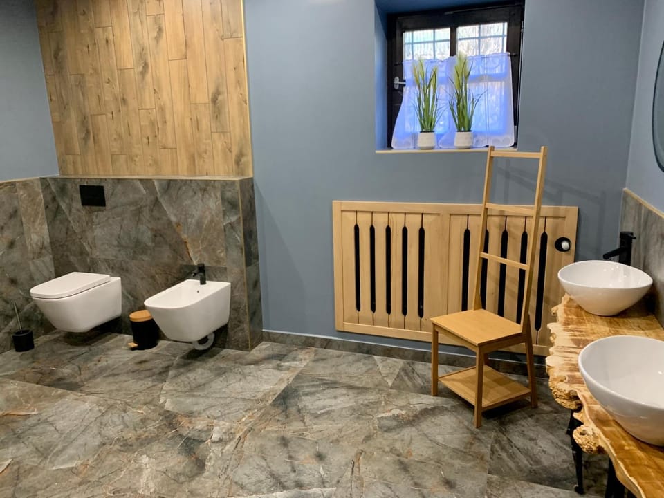 Toilet, Bathroom, bidet