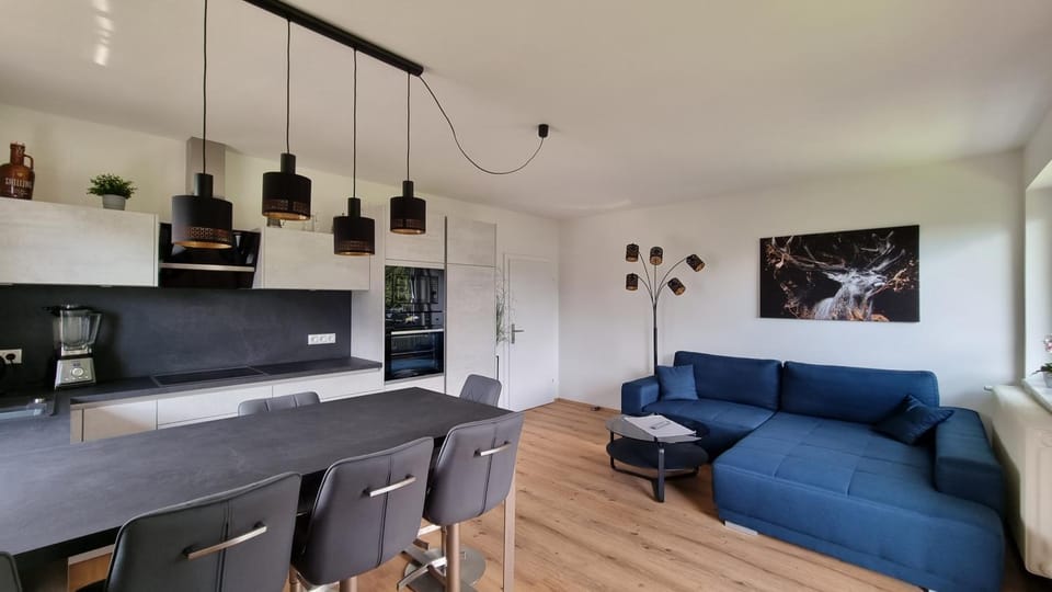 Kitchen or kitchenette, kitchen